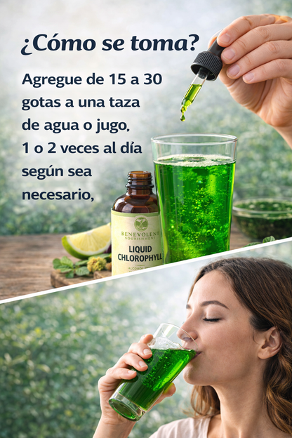 CLOROFILA LÍQUIDA - CONCENTRADO PURO 50ML